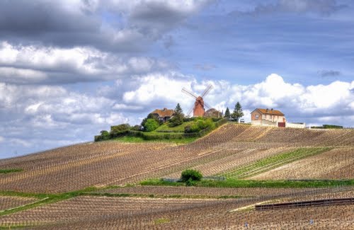 Montagne de Reims