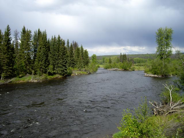 Black Water River