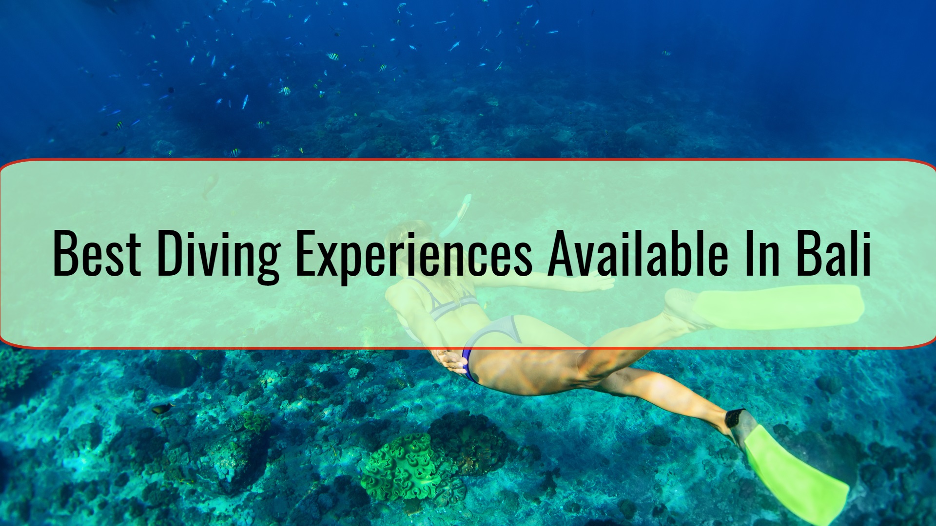 Best Diving Experiences Available In Bali • Travel Tips