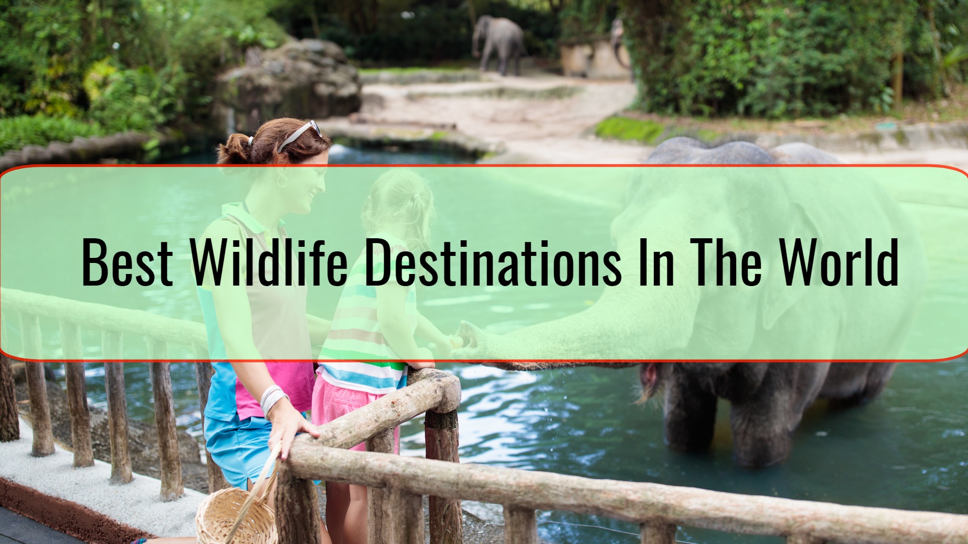 Best Wildlife Destinations In The World • Travel Tips