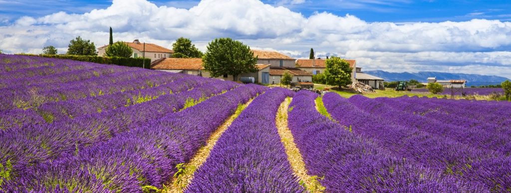 Provence