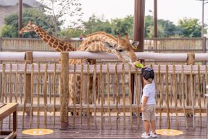 dubai with kids